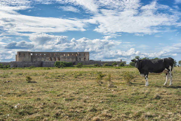 istock Ruins of old scandinavian castle 836158492