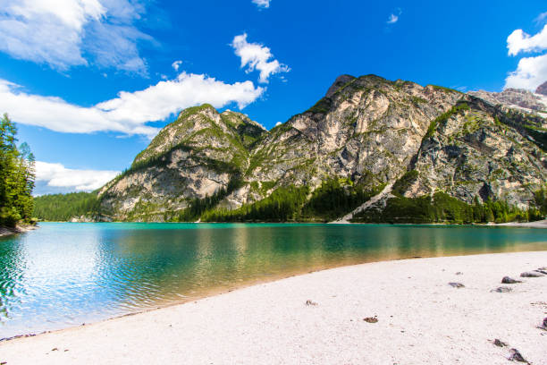istock The beach of Braies lake ( Lago di Braies) 836159254