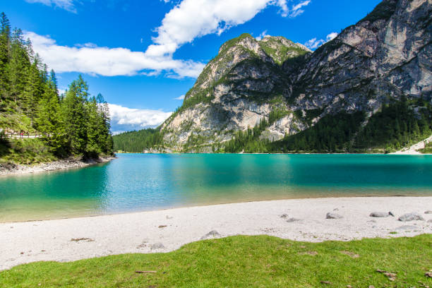 istock The beach of Braies lake ( Lago di Braies) 836159276