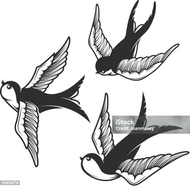 Set Of Swallow Illustrations Isolated On White Background Design Elements For Emblem Sign Badge T Shirt Stock Illustration - Download Image Now