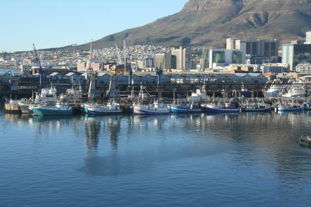 istock Cape Town Harbour, South Africa 836166406