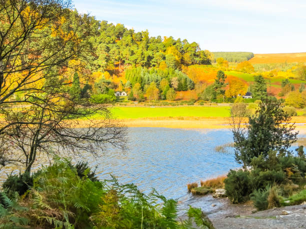 istock Glendalough Valley, Wicklow Mountains National Park, Ireland 836168992