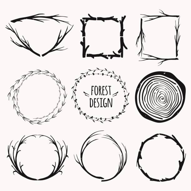 Set of decorative frames with plants and branches Vector decorative set of different frames with plants and tree branches. Rustic design for invitations, scrapbooking, greeting cards. Boho style. tree borders stock illustrations