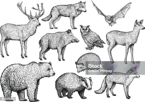 Ilustración de Ilustración De Animales De Bosque Dibujo Grabado Tinta Línea Arte Vector y más Vectores Libres de Derechos de Animal