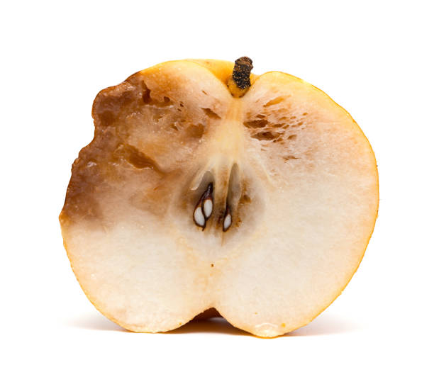 Pears When Rotten Inside 1,300+ Rotten Pear Stock Photos, Pictures & Royalty-Free Images - iStock