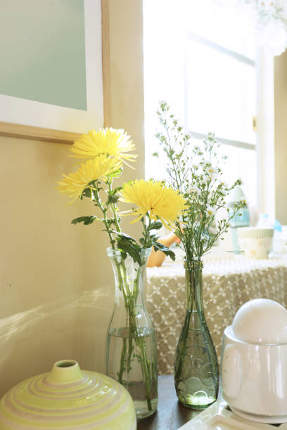 istock chrysanthemum and gypsophila 836179878