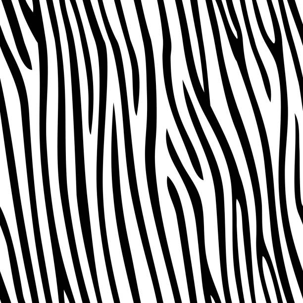 Seamless zebra skin pattern Seamless zebra skin pattern with stripes. zebra print stock illustrations