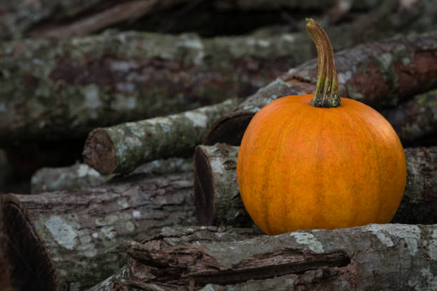 An orange pumpkin on a pile of wood