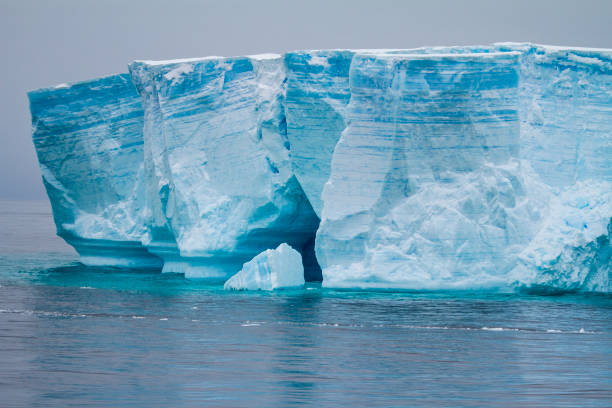 istock Antarctica - Antarctic Peninsula - Tabular Iceberg in Bransfield Strait 836189110