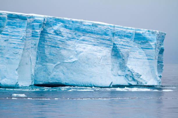 istock Antarctica - Antarctic Peninsula - Tabular Iceberg in Bransfield Strait 836189124