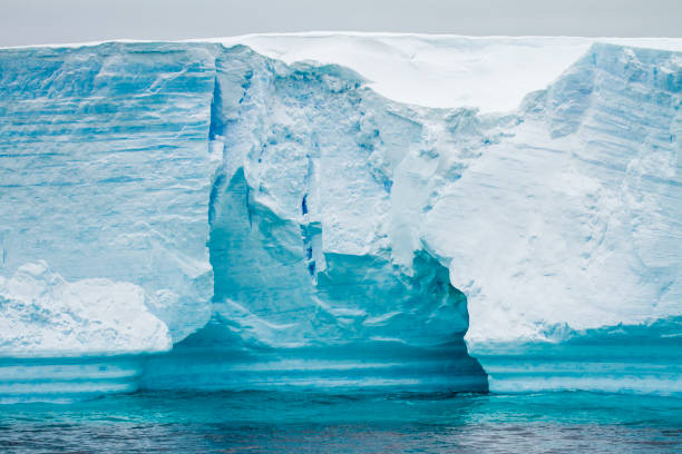 istock Antarctica - Antarctic Peninsula - Tabular Iceberg in Bransfield Strait 836189182