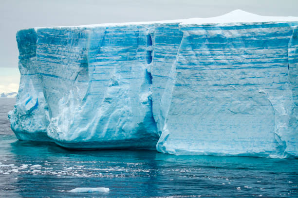 istock Antarctica - Antarctic Peninsula - Tabular Iceberg in Bransfield Strait 836189268