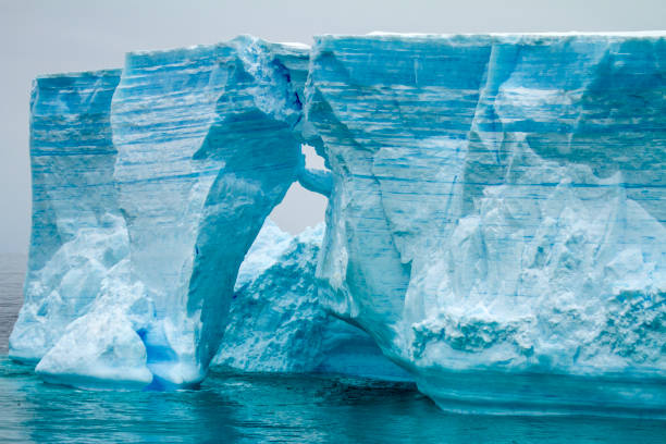 antarctica - antarctic peninsula - tabular iceberg in bransfield strait - climate change south pole antarctica imagens e fotografias de stock