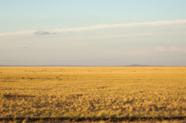 istock Prairie. and Larga Open AREA of-the grassland, 836191538