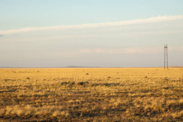 teppe, pradaria, estepe, savana - grass area field hill prairie - fotografias e filmes do acervo