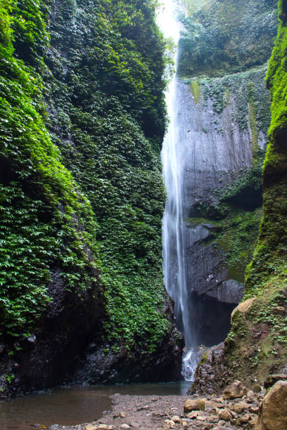 istock Madakaripura Waterfall is the tallest waterfall in Java and the second tallest waterfall in Indonesia. 836192220