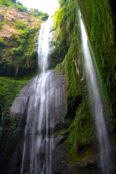 istock Madakaripura Waterfall is the tallest waterfall in Java and the second tallest waterfall in Indonesia. 836192352