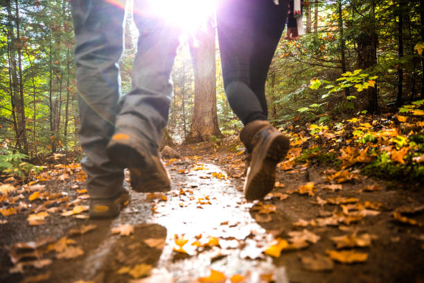 pareja joven/esposos caminatas en la montaña por un sendero en canadá - autumn women park forest fotografías e imágenes de stock