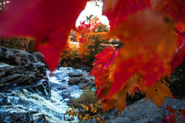 Amazing scenery on path in the mountains, river in Ontario - Canada