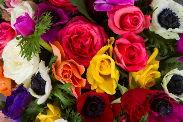 istock Anemones flowers on stone background 836200556