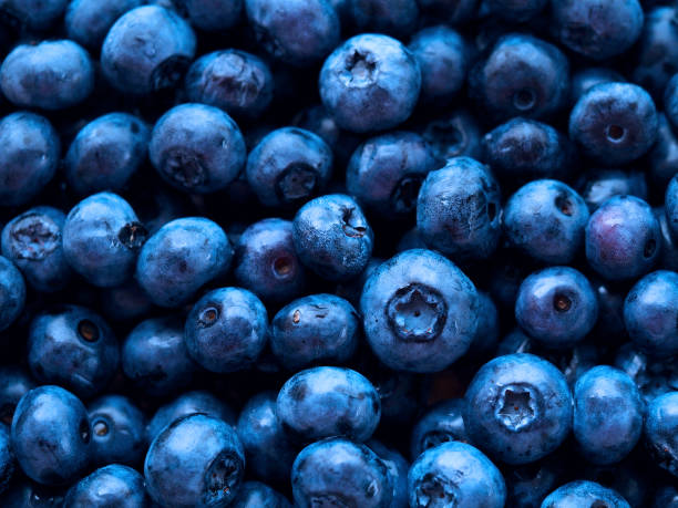 istock Fresh blueberry with drops of water, natural blue background. 836201844