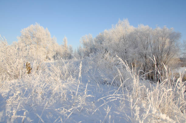 istock winter, winter-tide, winter-time 836205746