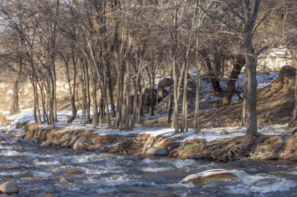istock winter, winter-tide, winter-time 836205788