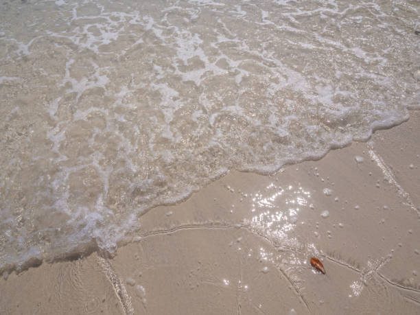 istock Abstract nature. Sand, beach and clear sea. 836212346