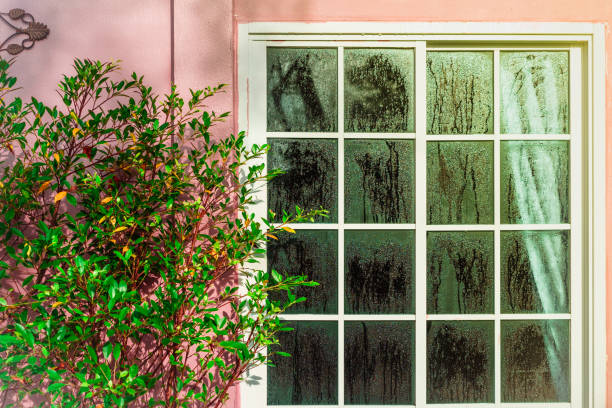 puerta de cristal con alta humedad y condensación, árbol. textura de agua en un vaso. fenómeno del concepto de naturaleza y exterior. - condensate fotografías e imágenes de stock