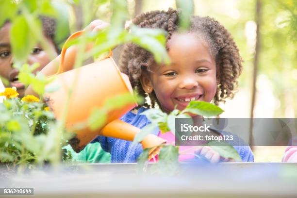African Descent Children Gardening Outdoors In Spring Stock Photo - Download Image Now