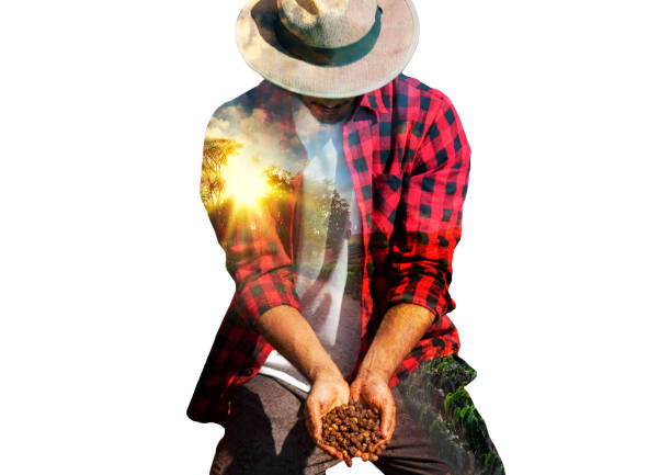 Farmer concept image. Double exposure of farmer holding coffee beans and sundown on the plantation landscape. Agriculture Concept.