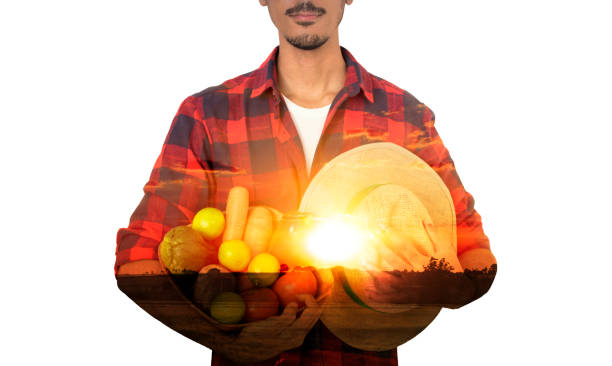 Farmer concept image. Double exposure of farmer and sundown on the plantation landscape. Agriculture Concept.