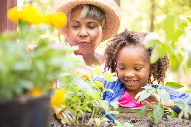istock Grandmother and child gardening outdoors in spring. 836241374