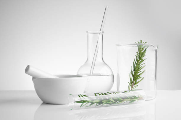 istock herbal medicine natural organic and scientific glassware, Research and development concept. 836242010