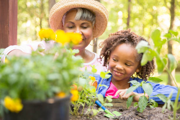 istock Grandmother and child gardening outdoors in spring. 836244388