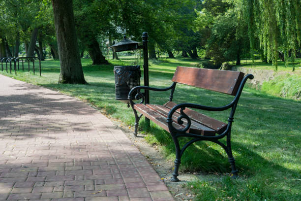 istock Wooden bench in a green park next to a foot path 836245194