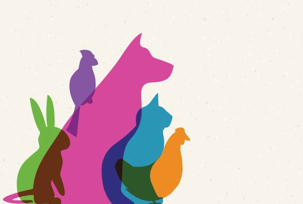 illustrations, cliparts, dessins animés et icônes de les animaux de compagnie - dog domestic cat pets animal