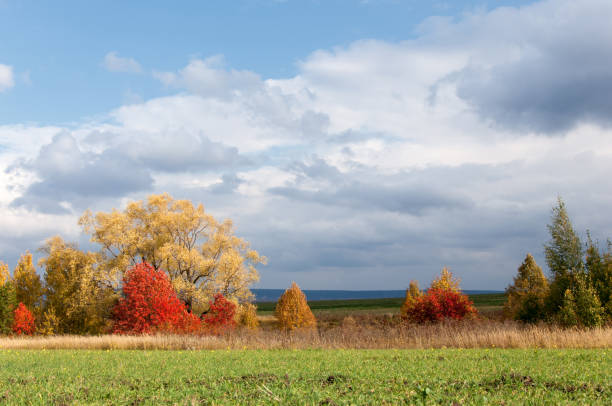 a wonderful time to fall - 2271 imagens e fotografias de stock