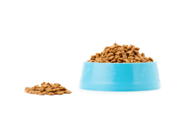 istock pet dried food in cyan plastic bowl 836262792