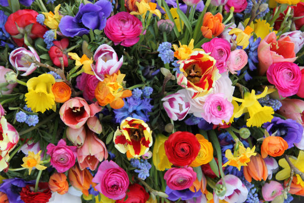 Colorful spring flowers Colorful mixed bouquet with various spring flowers hyacinth red stock pictures, royalty-free photos & images