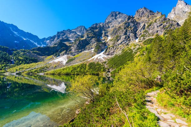 夏シーズン、タトラ山脈、ポーランドでエメラルド グリーンの水と証明 morskie oko 湖の景色 - tatra national park ストックフォトと画像