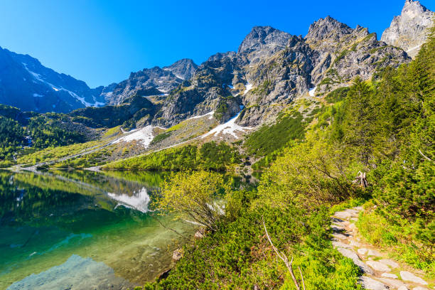 vista do lago morskie oko com água verde esmeralda no verão temporada, altas montanhas de tatra, polônia - tatra mountains zakopane lake mountain - fotografias e filmes do acervo