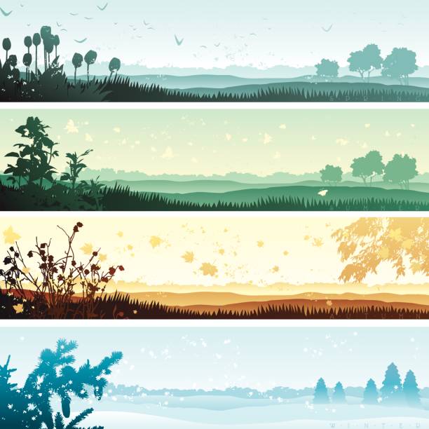 Four seasons - ilustración de arte vectorial