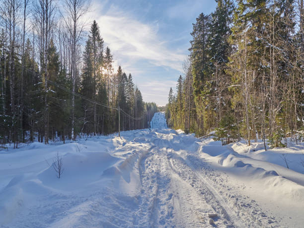 istock Road in the forest. Winter 836268634