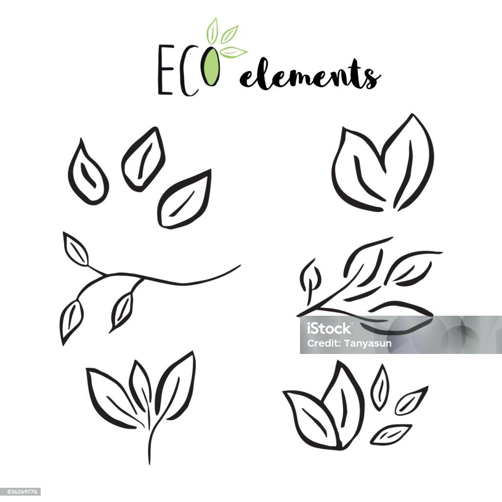 Hoa Vector Với Lá Cành Yếu Tố Thực Vật Hình minh họa Sẵn có - Tải ...