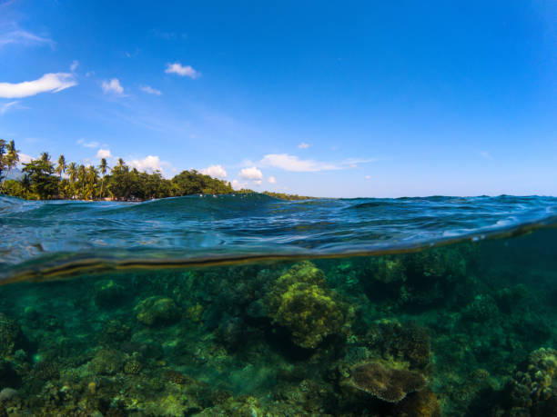 istock Split photo with tropical island and coral reef. Clear blue sky and underwater view. 836270096