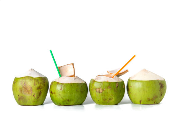 istock row of fresh coconut on white background 836270258