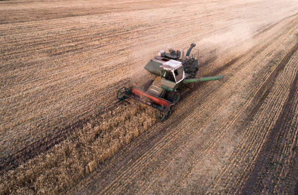 istock Harvester working in field and mows wheat. Ukraine. Aerial view. 836273536