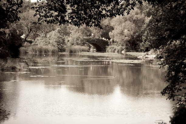 istock View of Central Park in New York 836276348