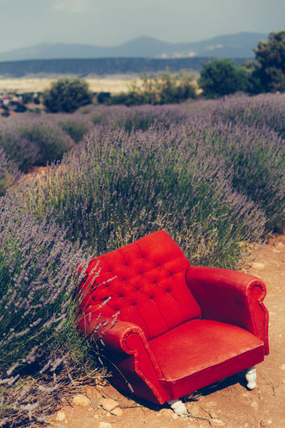 istock Red seat in lavender field 836277188